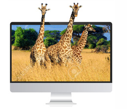 Suchmaschinenoptimiertes WebDesign